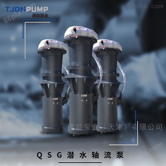 德能泵业 潜水型轴流泵 潜水泵不锈钢
