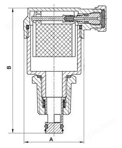 自动排气阀(图2)