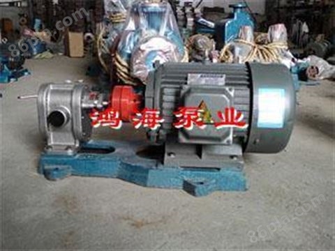 2CY不锈钢齿轮泵(高压泵)