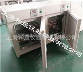 HS-DRP-905250L电热恒温培养箱