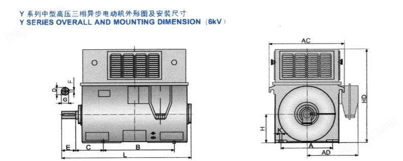 Y系列6kV中型高压节能三相异步电动机安装结构形式